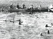 partita arno